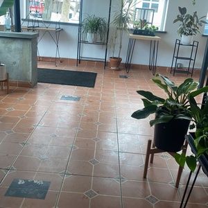 Meet your Posher, Feleah